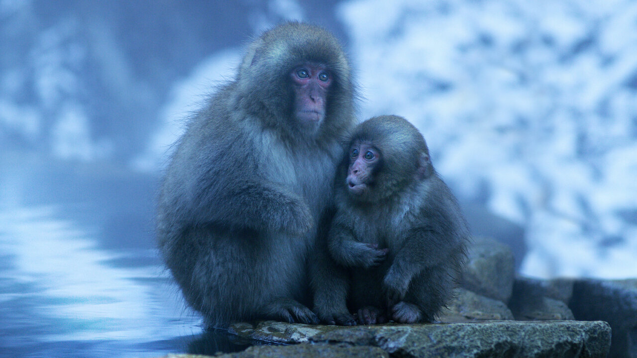 ‎Moving Art Netflix